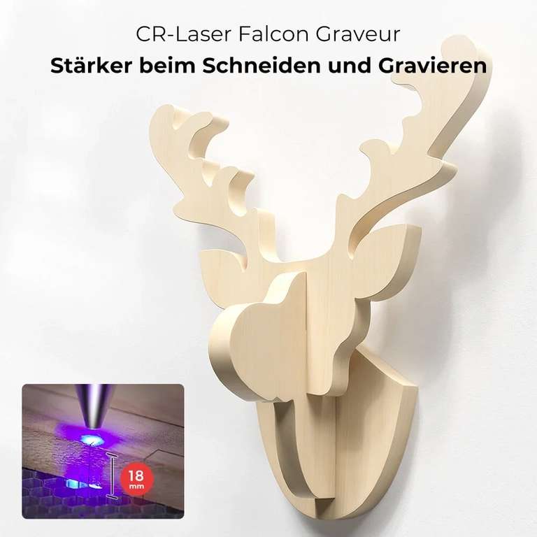 Creality Laser Falcon 10W - Lasergravierer 400*415mm, 0,06 mm Laser-Brennpunkt, Lasercutter mit 18mm Schneidtiefe