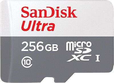 SanDisk Ultra R100 microSDXC 256GB Kit, UHS-I, Class 10