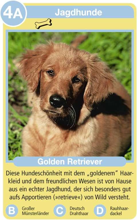 [Prime] Ravensburger 20420 - Tierquartett Hunde, Klassiker für 3-6 Spieler ab 4 - 12 Jahre, 32 Hunderassen
