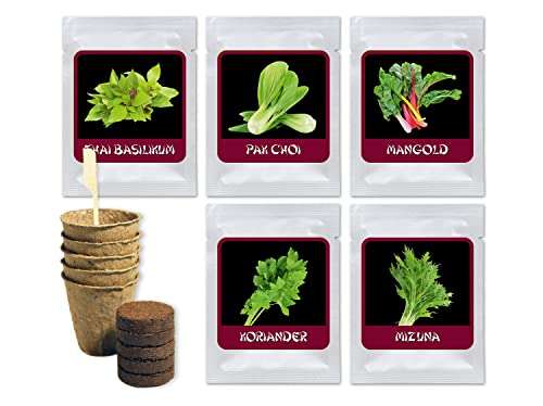 Asia Box - Anzuchtset - 5 Kräuter und Gemüse Samen für die Asiatische Küche - Zum Selberzüchten oder zum Verschenken