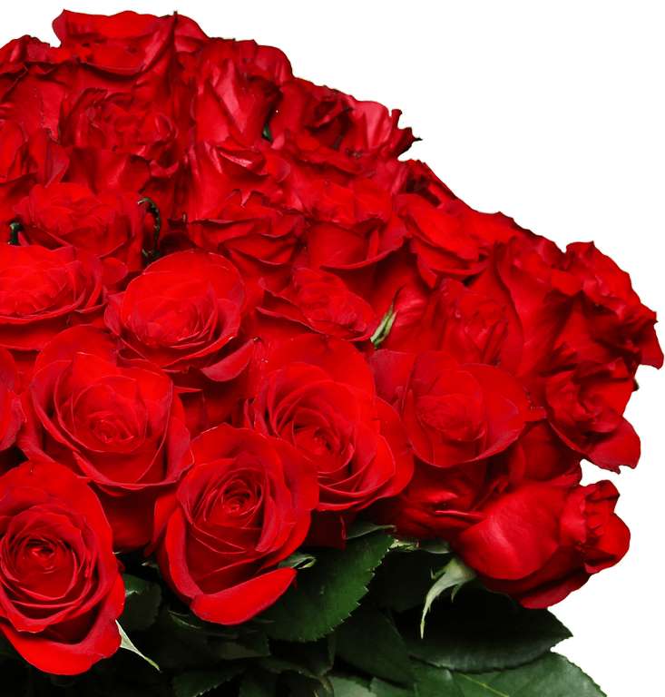 44 rote Rosen (40cm)