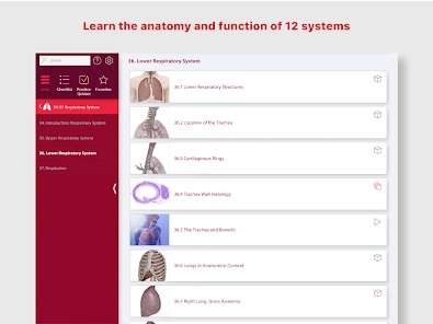 [android + ios] Atlas der Humananatomie 2024, Muskeln & Kinesiologie; Anatomie & Physiologie, Physiologie & Pathologie für je 1,09€ / 0,99€