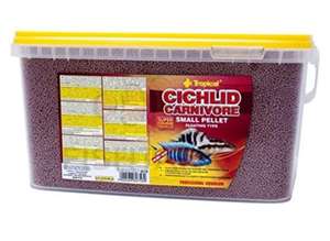 Tropical Cichlid Carnivore Small Pellet, 1er Pack (1 x 10000 ml)