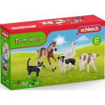 Schleich (42386) Farm World Tier-Mix, Spielfigur - Kalb, Katze, Border Collie, Gans & Fohlen - Amazon/Otto UP Plus