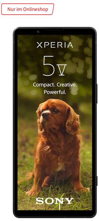 O2 Netz: Sony Xperia 5 V im Allnet/SMS Flat 12GB LTE für 19,99€/Monat, 19€ Zuzahlung (34€ Gewinn nach Ankauf)