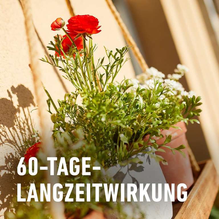 COMPO 60 Tage Langzeit Blumendünger 750ml (Prime)