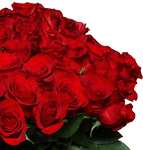 44 roten Rosen "ClassicRed" | 40cm Länge | entdornt & angeschnitten | 7-Tage-Frischegarantie