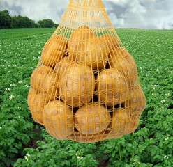 netto SAMSTAGS KRACHER 4kg Kartoffeln für 5,99€ (1,50€/kg) aus Spanien/Deutschland am 08.07.2023