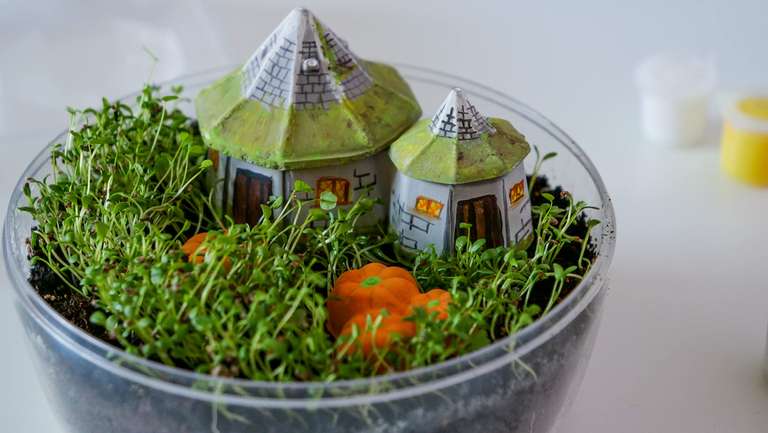 Clementoni 19248 Harry Potter Hagrids Hut Terrarium | Set für Miniatur-Ökosystem, Aufziehen von Pflanzen für Potterheads ab 7 Jahren