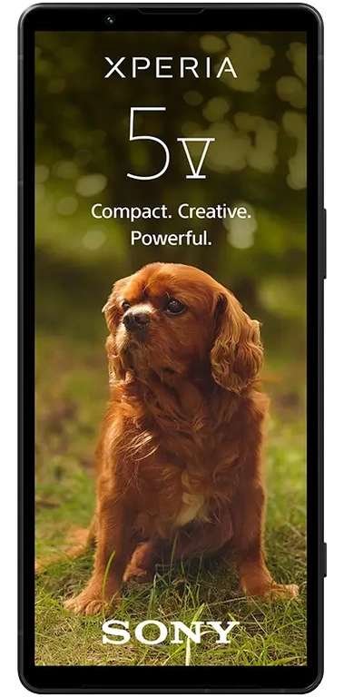 Vodafone Netz - Sony Xperia 5 V + agreen LTE 20GB (50 mbit) Allnet + SMS Flat 29,99€/M + 55€ ZZ; -50€RNM; -54,30€ unter Idealo