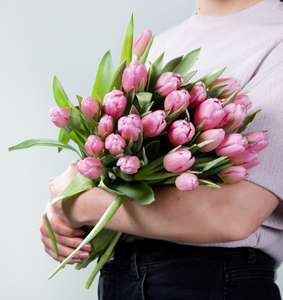 Blumenstrauß 30 Stück rosa Tulpen