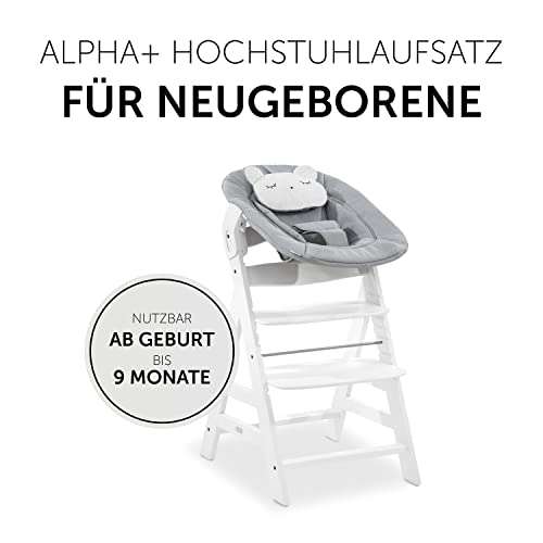 Hauck Baby Wippe Hochstuhl Aufsatz Alpha Bouncer 2 in 1