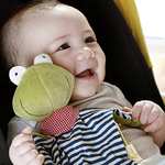 SIGIKID 41352 Schnuffeltuch Frosch Green Mädchen und Jungen Babyspielzeug empfohlen ab Geburt grün/blau (Prime)
