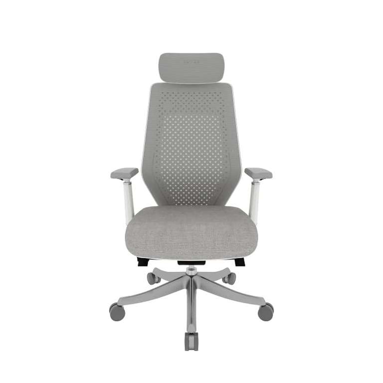 Flexispot 15% Rabatt auf alle Stühle, z.B. BackSupport Bürostuhl BS11 (Max. Belastbarkeit: 350 Kg) oder BS10 für je 322,99€