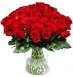 Blume Ideal: 44 rote Rosen 22,99€