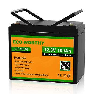 12V 100Ah LiFePO4 Lithium Batterie Ecoworthy Akku BMS