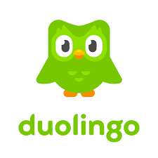 Duolingo Super über VPN für deutlich vergünstigt