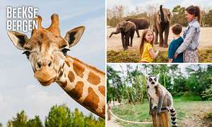 Safaripark Beekse Bergen ab 18,95€ statt 27€