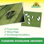 Neudorff Gelbsticker gegen kleine fliegende Schädlinge wie Trauermücken, insektizid frei, geruchlos, 10 Stück (Amazon Prime)