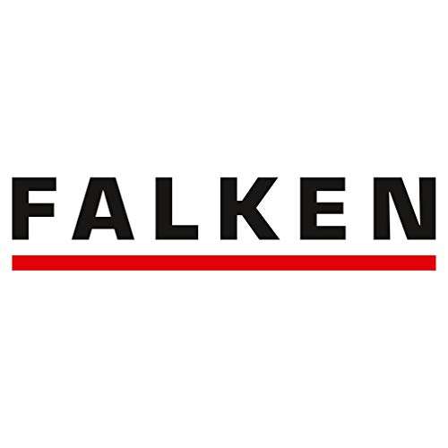 (Prime) Original Falken 10er Pack Chromocolor Premium-Ordner.