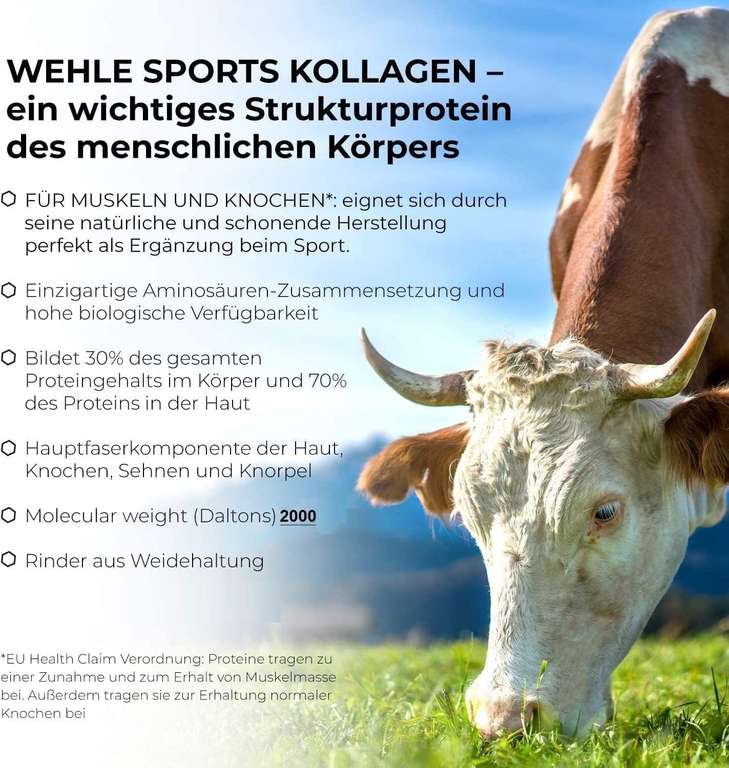 Collagen Pulver 1 KG - Bioaktives Kollagen Hydrolysat Peptide Geschmacksneutral, Wehle Sports Made in Germany Kollagen Typ 1, 2 & 3