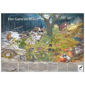 Freebie: Poster & Ausmalbilder kostenlos, z.B „Der Gartenschläfer“