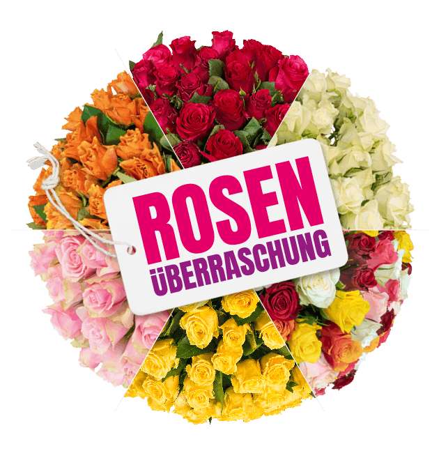 Rosen-Überraschung mit 50 Rosen (40-50 cm Länge)