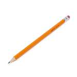 Amazon Basics - Holzgefasste Bleistifte, HB, vorgespitzt, 150er-Pack