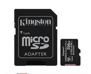 Kingston SDCS2 256 GB Micro SD