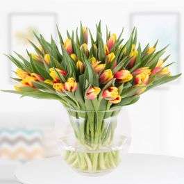 30 zweifarbige Tulpen (rot-gelb) für 17,95€ + 4,95€ VSK inkl. kostenloser Grußkarte oder Videobotschaft