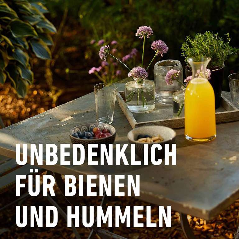 COMPO Wespen-Falle  wiederbefllbar, inkl. Lockstoff, 3 Wochen Wirkung   bei Amazon