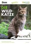 Der Bund - Die Wildkatze - Lesen, Ausmalbilder, Stundenplan und Poster