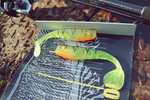 [angeln] MR Baits nachhaltige handmade gummifisch 24% rabatt