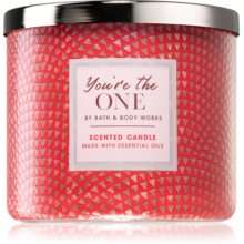 Bath and body works candle, you're the one, 3-docht