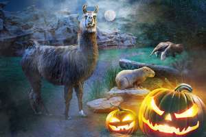 Zoo Leipzig - freier Eintritt für Kinder im Halloween-Kostüm am 31.10.2023