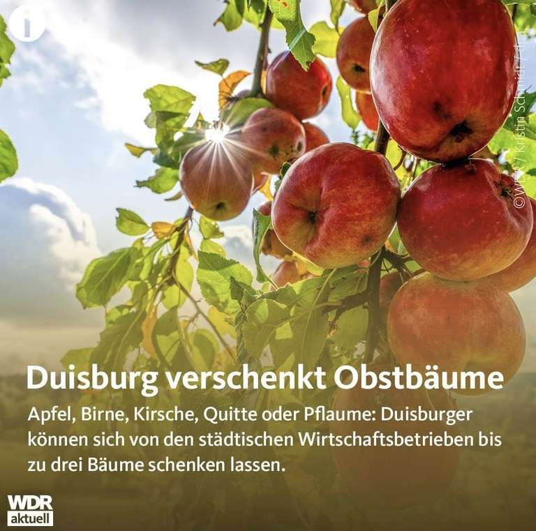 [Lokal Duisburg] 3.000 Gratis Obstbäume für Duisburger - Maximal 3 Bäume pro Person - Solange der Vorrat reicht