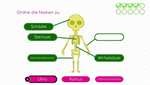 BodyQuest: Anatomie für Kinder kostenlos für Android & iOS (Google Play Store / Apple App Store)