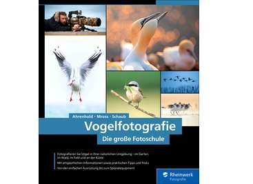 25% auf Fotografie E-Books bei Rheinwerk zum Frühlingsbeginn