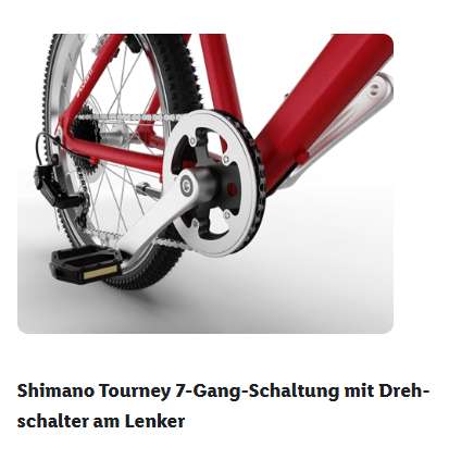 CRIVIT Light 20 Kinderfahrrad  leichter als Woom4, 7,6 kg, Schwalbe | at  Lidl - 249,00