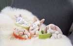 Nici Kuscheltier Sleeping Pets | Hase grau/weiß, 12 cm, im Körbchen [OttoUP Plus]