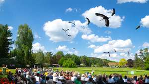 Weltvogelpark Walsrode 30% auf Saisonkarten Gold & Platin
