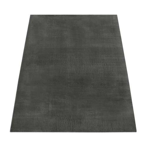 Teppich, weich super Soft für Wohnzimmer 160x220 cm Anthrazit oder andere Farben