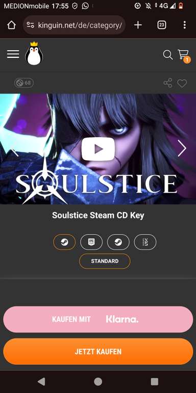 Soulstice Steam CD Key (Key für Steam)