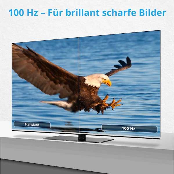 MEDION LIFE OLED 65ZOLL 100HZ X16523 Smart-TV, 163,9 cm (65'') Ultra HD
