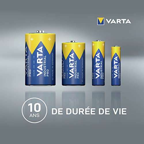 Varta Batterien Industrial Pro 4020, D, Mono, R20, LR20, 1,5 V, 20 Stück