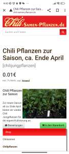 Chili Pflanzen für 1 Cent!