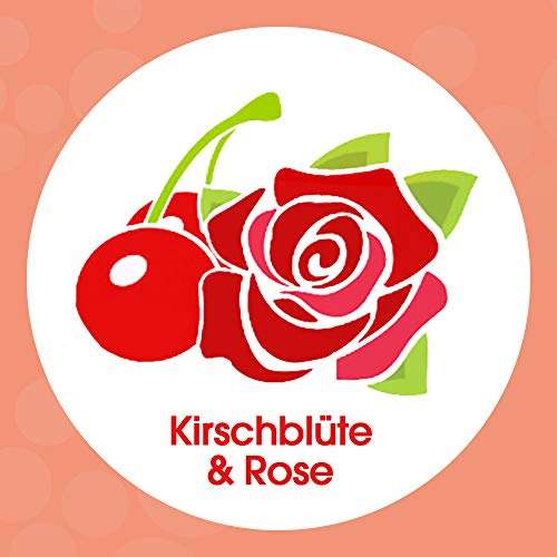 (Prime Spar-Abo) Sagrotan Samt-Schaum Seife Kirschblüte & Rose – 1 x 250 ml Schaumseife im Seifenspender