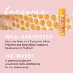 Burt's Bees 100 Prozent Natürlich Lippenbalsam, verschiedene Geschmacksrichtungen z.B. Bienenwachs mit Honig, 1 Stift (Prime Spar-Abo)