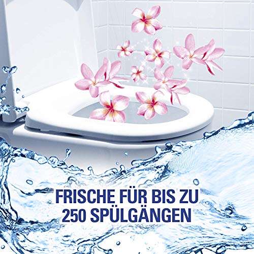 [amazon prime] Spar Abo: Cillit Bang 6in1 WC Spüler Blütenfrische, Orchidee, Tropische Lagune oder Hibiskus (3 Stück), keine 0,80€ pro Stück