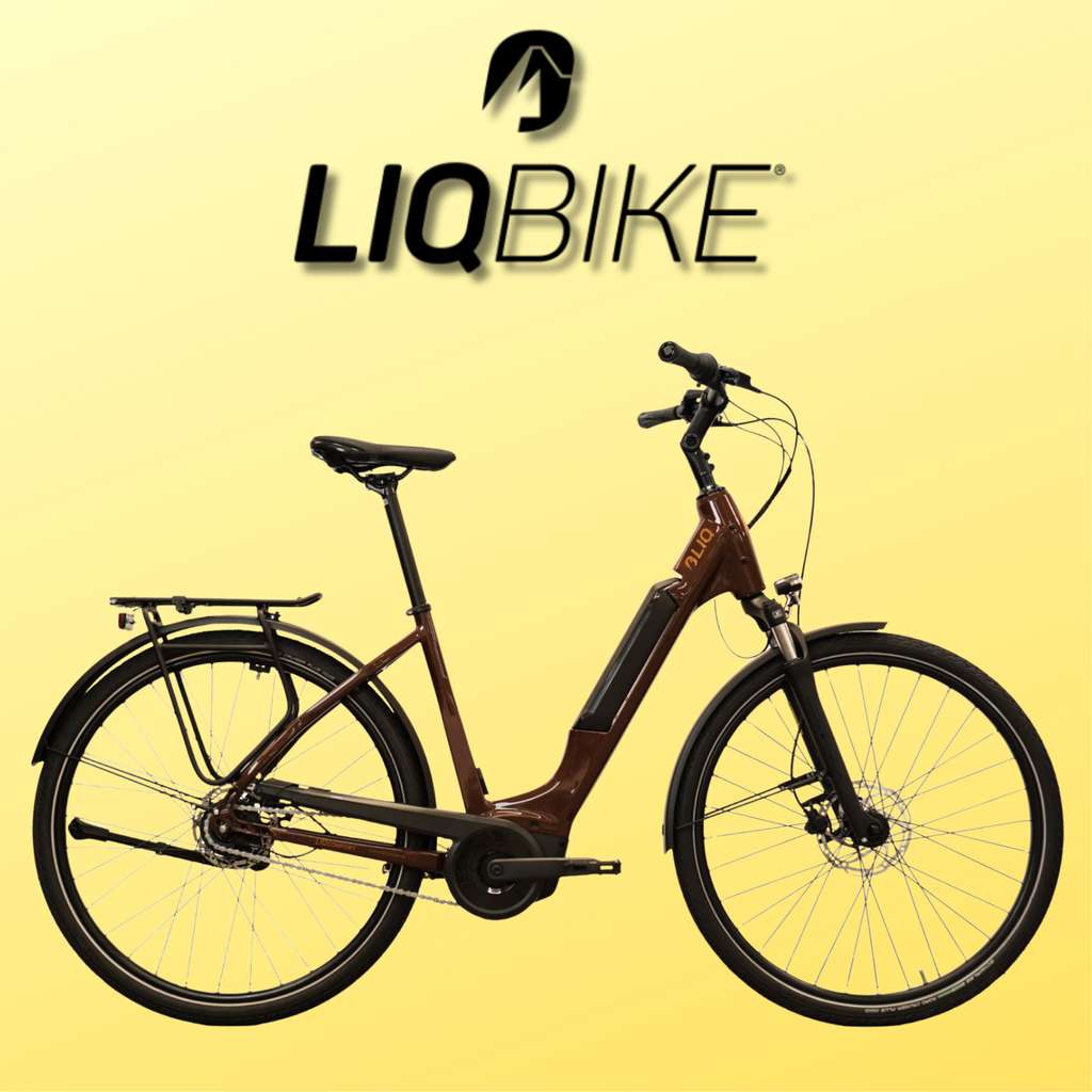fahrradanhänger nl thule Sport 2 double black – STEYBE FÜR KINDER Rollei Output Current:2A E-bike citybike herren kaufen